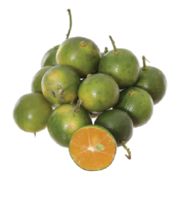 Quả tắc