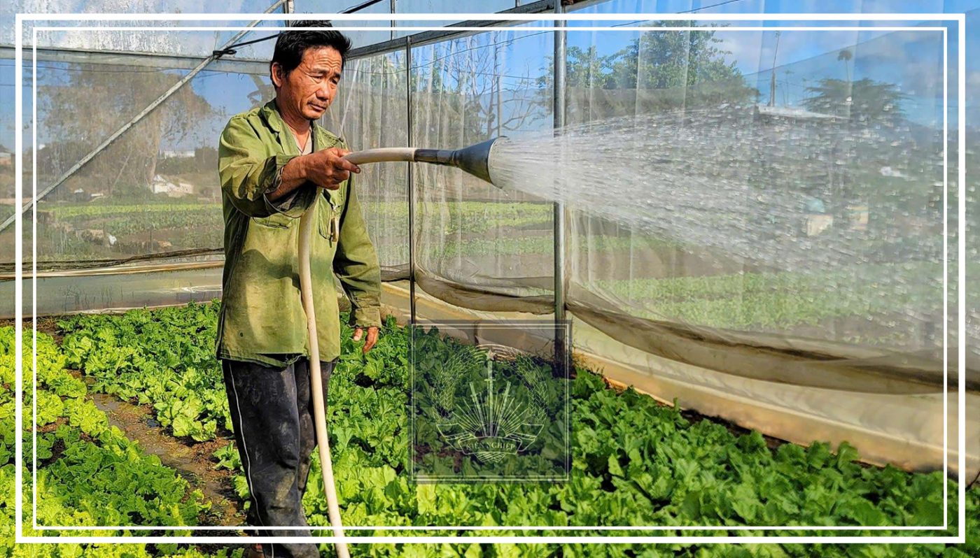 Vườn rau củ quả tại Kon Tum