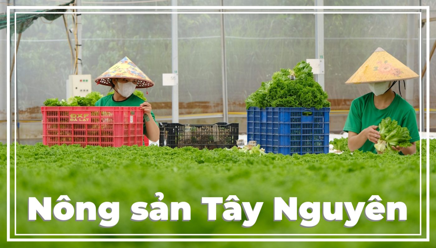 nông sản Tây Nguyên