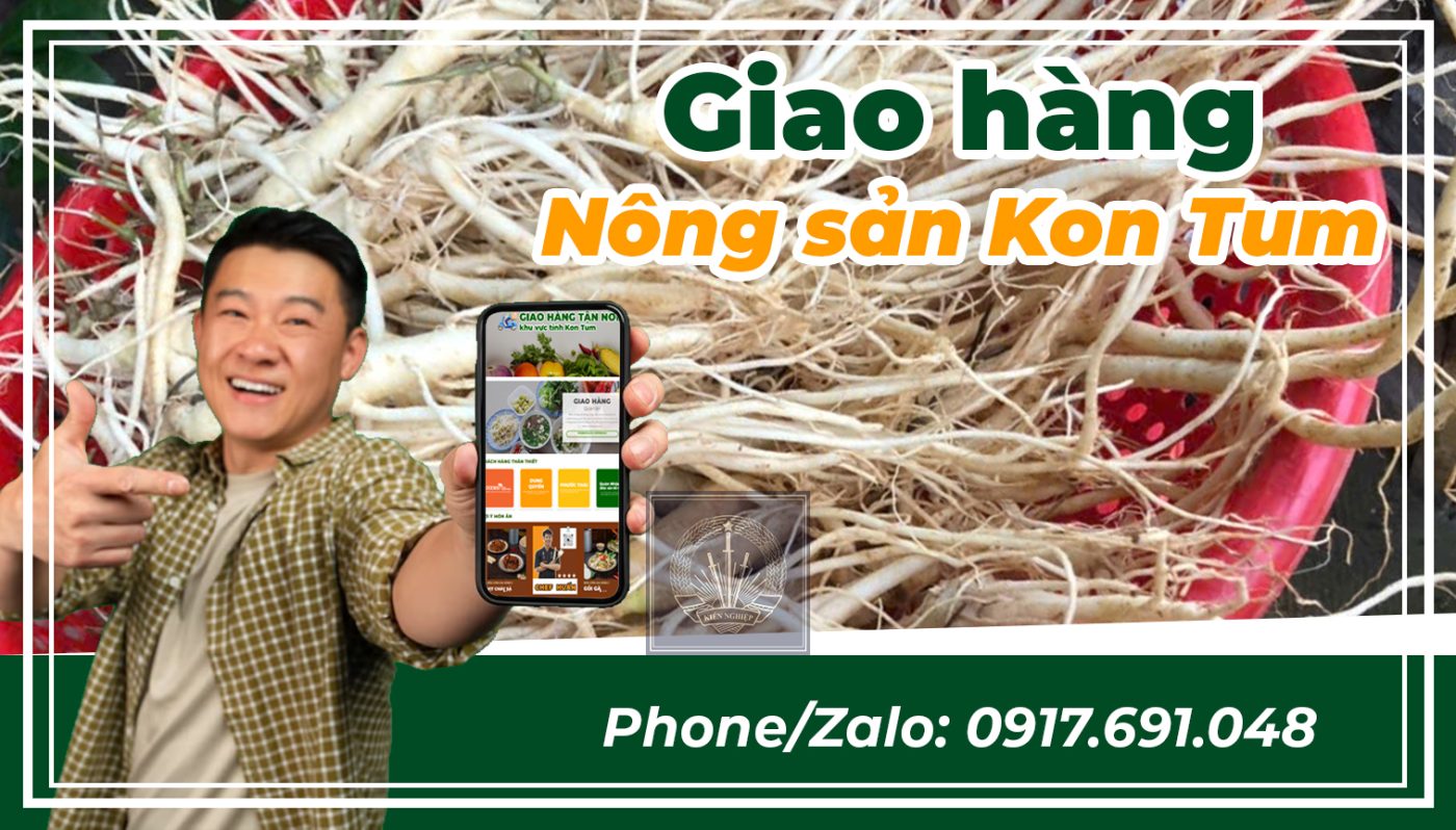 mua sâm dây uy tín