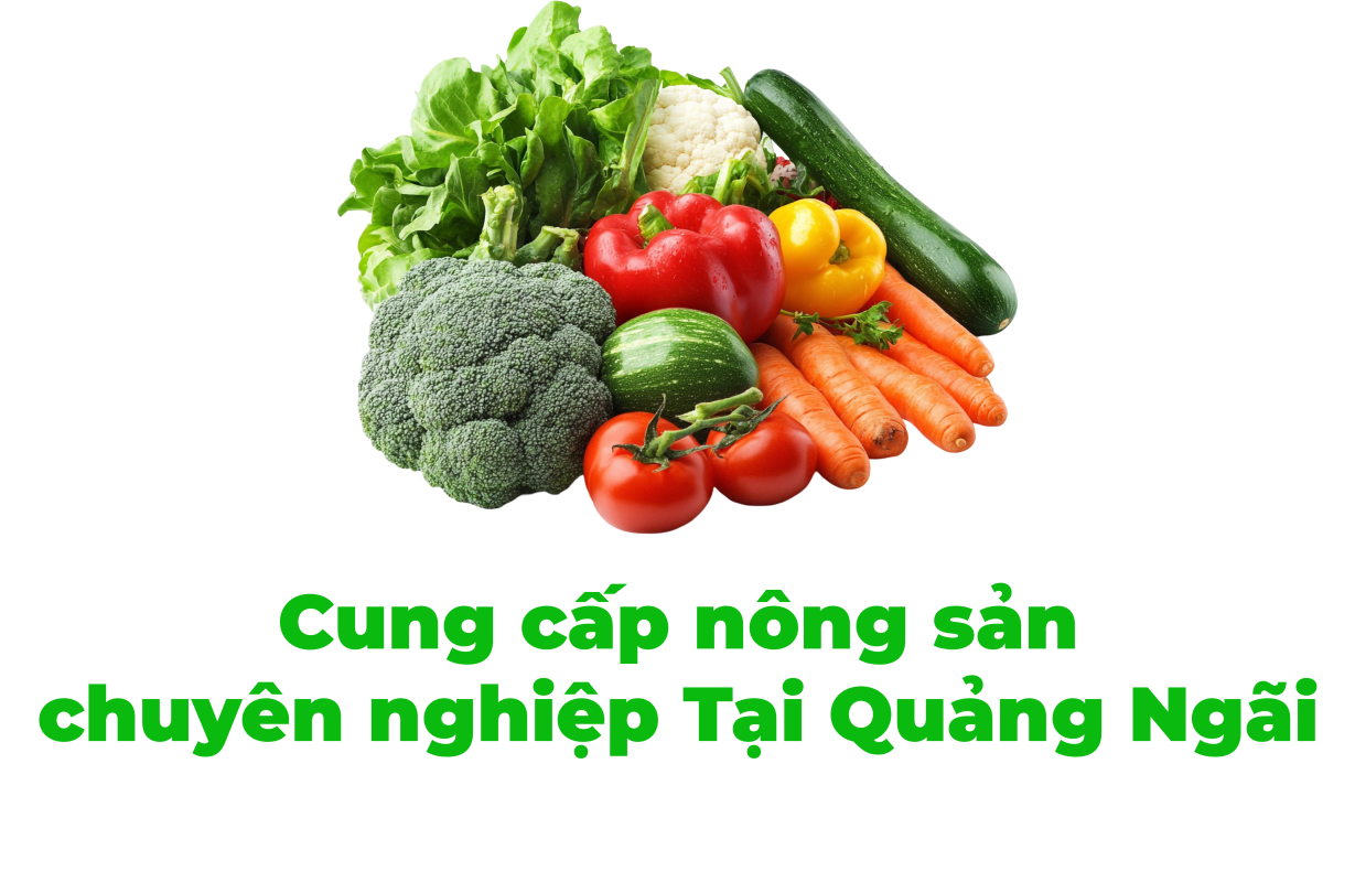 Chuyên rau sạch Quảng Ngãi