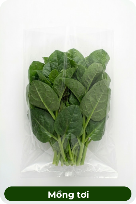 Mồng tơi